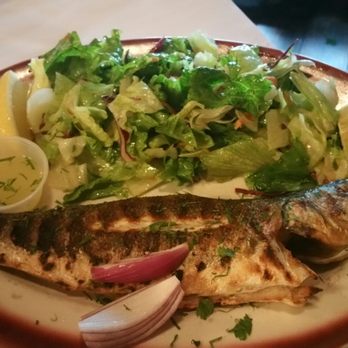 Taci's Beyti - Branzion- so good. - Turkish Near Me - Brooklyn, New York Taci's Beyti - Branzion- so good. - Turkish Near Me - Brooklyn, New York