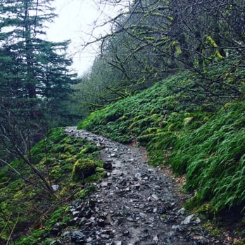 Horsetail Falls - Hiking Near Me - Cascade Locks, Oregon