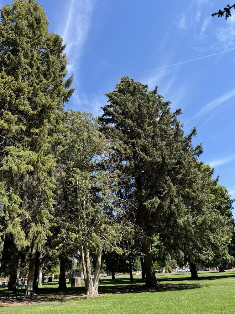 Social spots from Porter Park