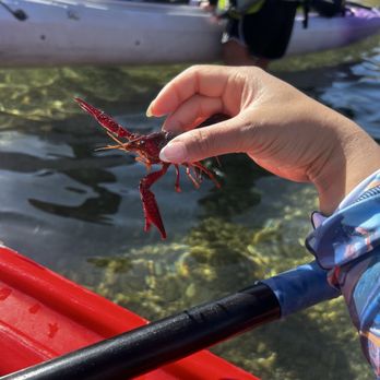 Ez Kayak Tours - Rafting/Kayaking Near Me - Willow Beach, Arizona