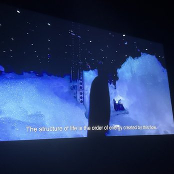 Superblue Miami - teamLab cloud exhibit - definitely worth the add on - Art Museums Near Me - Miami, Florida