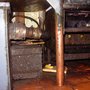 Photo of Armor Pest Management