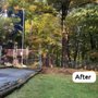 Emelin Tree Service