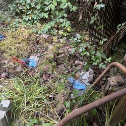 Advanced Underground Utility Locating - Water and power