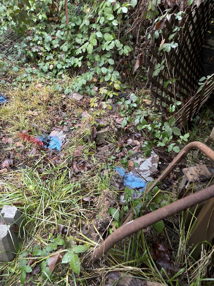 Advanced Underground Utility Locating - septic in Bellevue, WA