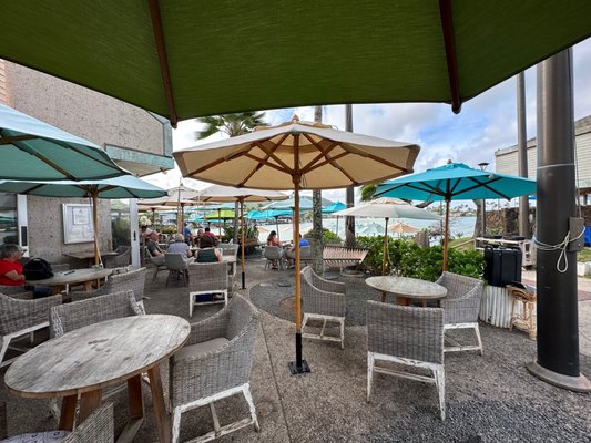 Island Brew Coffeehouse by null