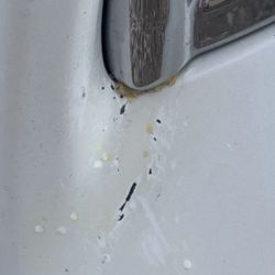 Haley Chrysler Dodge Jeep Ram - This is the after we washed the vehicle