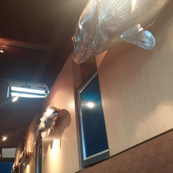 Pacifica Del Mar - Wall of fish - New American Near Me - Del Mar, California Pacifica Del Mar - Wall of fish - New American Near Me - Del Mar, California