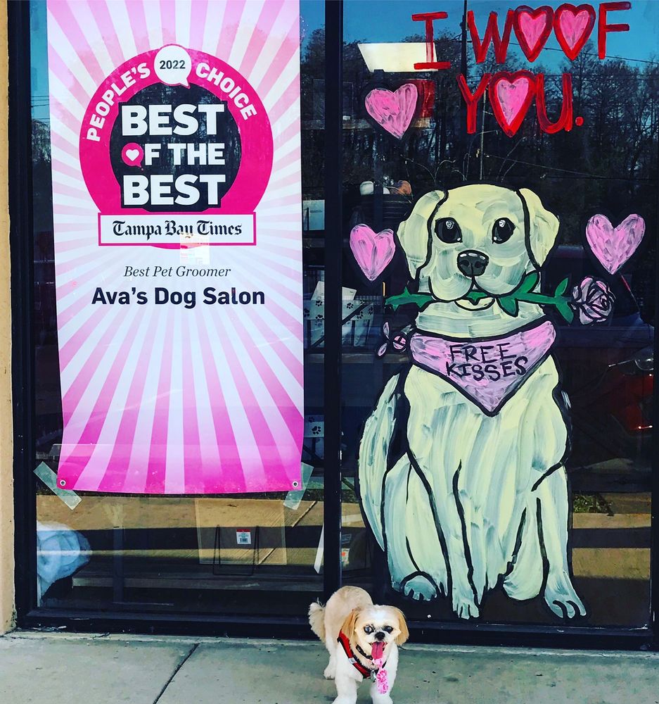 AVAS DOG SALON Updated April 2024 26304 Wesley Chapel Blvd, Lutz