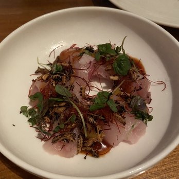 Redbird - Dine la Hiramasa Crudo - New American Near Me - Los Angeles, California Redbird - Dine la Hiramasa Crudo - New American Near Me - Los Angeles, California