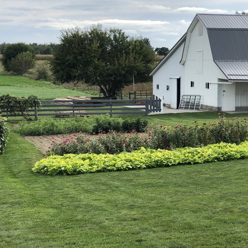 Buggy Lane Tours - Tours Near Me - Shipshewana, Indiana Buggy Lane Tours - Tours Near Me - Shipshewana, Indiana