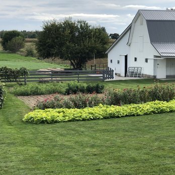 Buggy Lane Tours - Tours Near Me - Shipshewana, Indiana Buggy Lane Tours - Tours Near Me - Shipshewana, Indiana