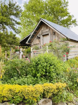 ANTIQUE ROSE EMPORIUM NURSERY & DISPLAY GARDENS - 169 Photos & 54 ...