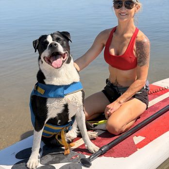 SUP Pups - Paddleboarding Near Me - San Diego, California