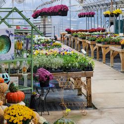 McCallister's -Lake Hamilton Garden Center