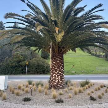 ARKLAND - Landscaping Near Me ARKLAND - Landscaping Near Me