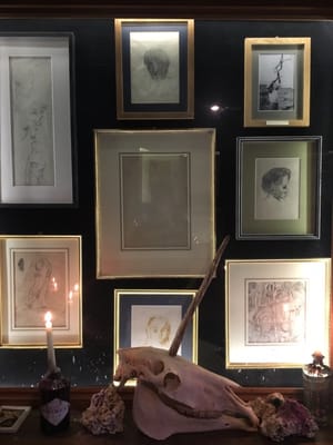The Viktor Wynd Museum of Curiosities, Fine Art & UnNatural History by null