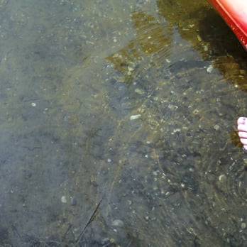 Lake Township Park - Water is really clear. Pic shows sun glare and orange kayak reflection. - Parks Near Me - Honor, Michigan Lake Township Park - Water is really clear. Pic shows sun glare and orange kayak reflection. - Parks Near Me - Honor, Michigan