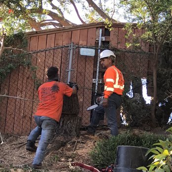 Tiger Tree Services - Tree Services Near Me