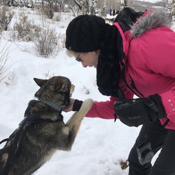 Mountain Musher - Tours Near Me - Bond, Colorado