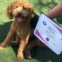 Woof Wellness Center - A proud graduate of the WOOF! Center Training Academy.