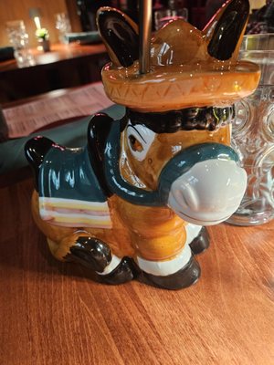 Gato Exotico by null