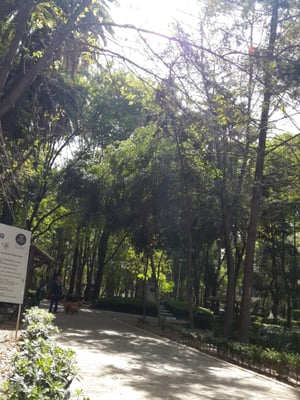 Parque México by null