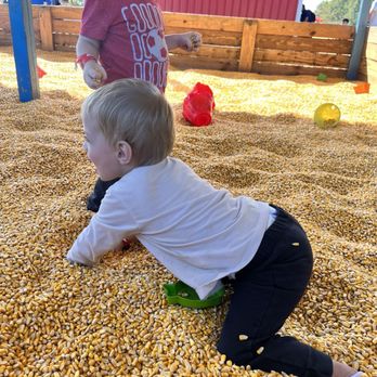 Washington Farms - Corn pit - Farmers Market Near Me - Bogart, Georgia Washington Farms - Corn pit - Farmers Market Near Me - Bogart, Georgia