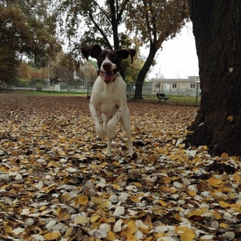 Sam Combs Park - Parks Near Me - West Sacramento, California