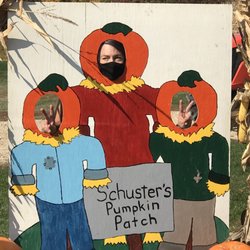 Schuster's Pumpkin Patch - Wee one & kids at heart
