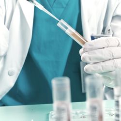 AVR Lab Services