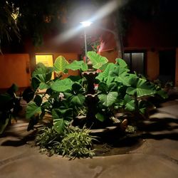 Los Hotel Pescadores