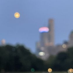 Sheep Meadow