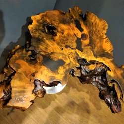 Benko Art Gallery - Pine Burl Table