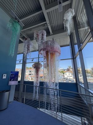 Monterey Bay National Marine Sanctuary Exploration Center by null