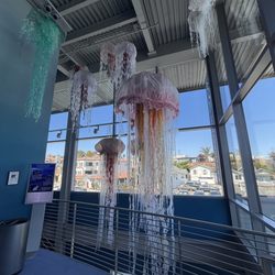 MBNMS Sanctuary Exploration Center - Jellyfish made from plastic waste