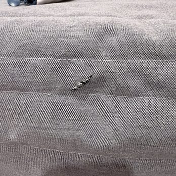 Careful Movers - A cut mark at futon cover - Movers Near Me - Menlo Park, California Careful Movers - A cut mark at futon cover - Movers Near Me - Menlo Park, California