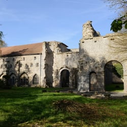 Kloster Arnsburg - Kirchenruine von außen