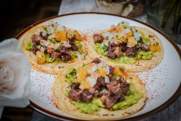 Fauna Latin Flavor by null