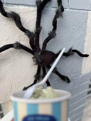 Yala Greek Ice Cream by null