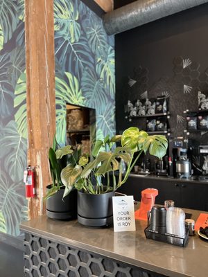 Anchorhead Coffee by null