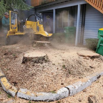 Evergreen Landscape Care & Tree Services - Tree Services Near Me - Beaverton , Oregon Evergreen Landscape Care & Tree Services - Tree Services Near Me - Beaverton , Oregon