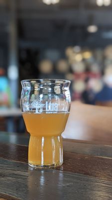 Lua Brewing by null