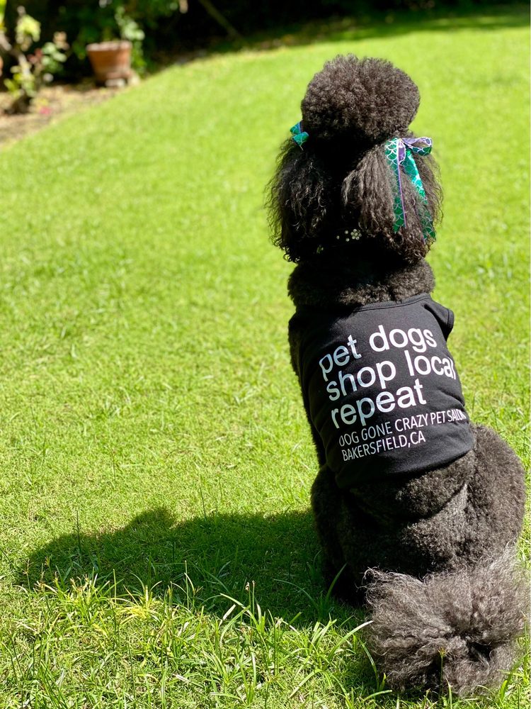 DOG GONE CRAZY 156 Photos & 46 Reviews 1316 19th St, Bakersfield, CA Yelp