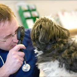 Emerson's Green Veterinary Surgery