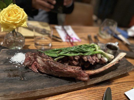 Coqueta by null