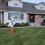 The Stork Express LI