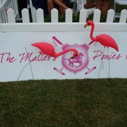 Auckland Polo Club