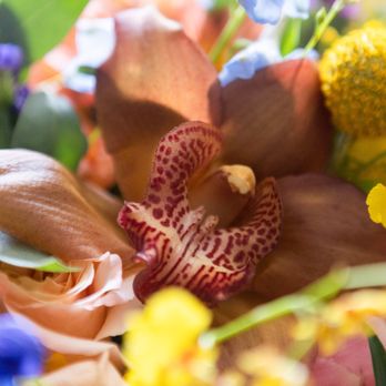 Wild Flowers Design Group - Florists Near Me Wild Flowers Design Group - Florists Near Me