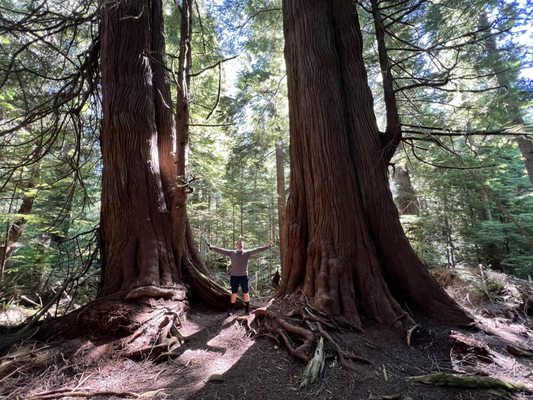 Willapa National Wildlife Refuge by null